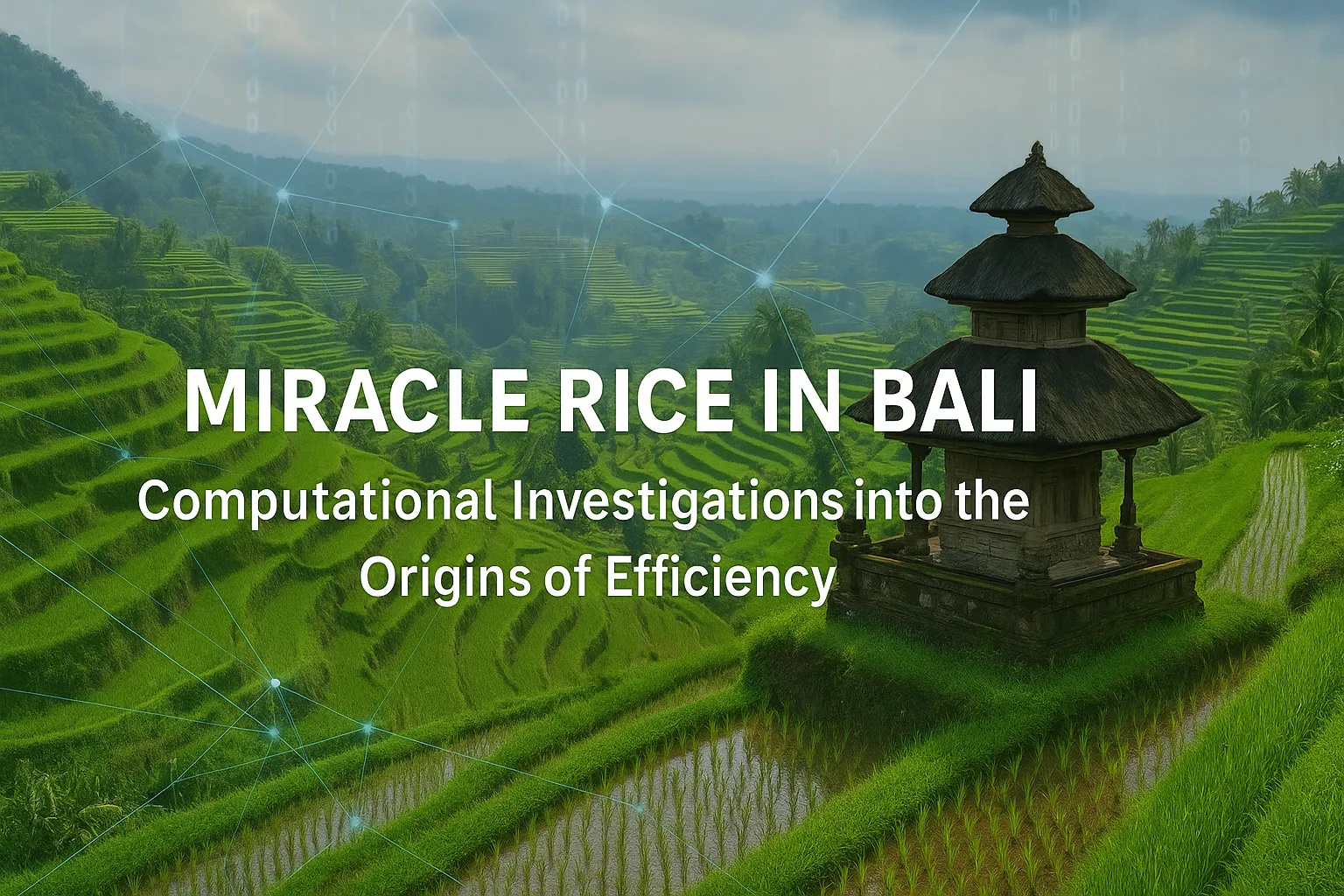 Miracle Rice in Bali
